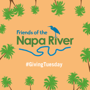 Who are Friends of the Napa River?