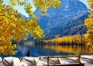Fall colors in Silver Lake, Eastern Sierras