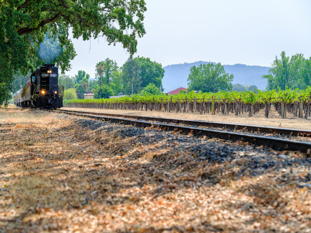 Napa Valley Wine Train excursions through the vineyards
