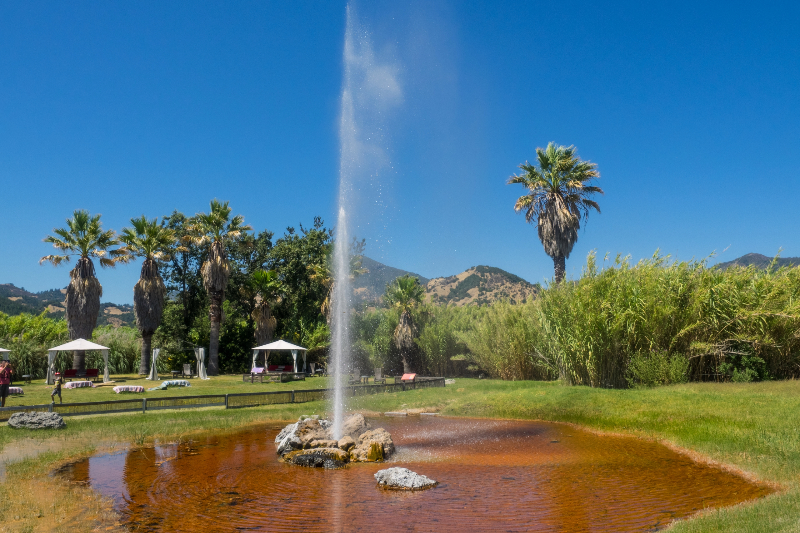 Old Faithful Geyser
