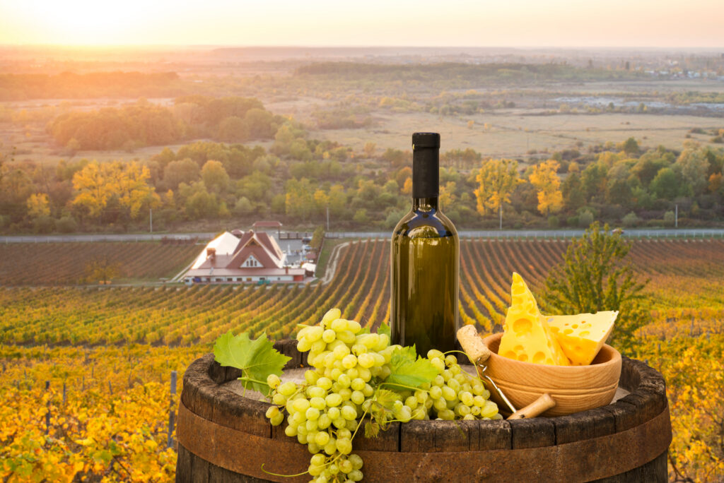 wine, plate of cheese and grapes at vineyard at sunset