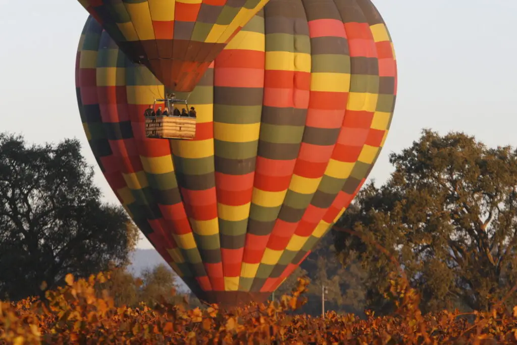 Hot air balloons sail over autumn vineyards in Napa Valley, California.